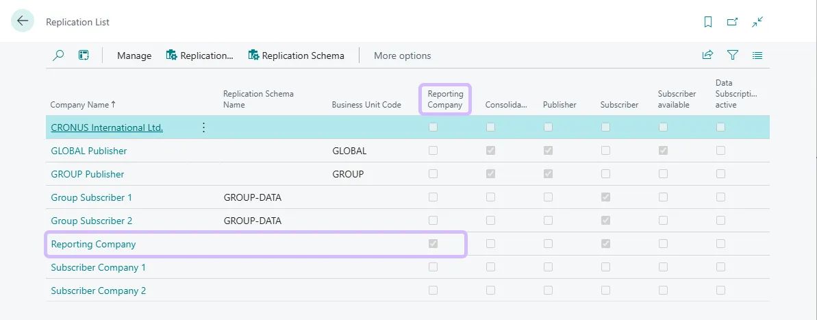 Replication List- Reporting Company
